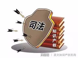 知識產權司法 公信力與國際影響力的雙重躍升與服務效能優化